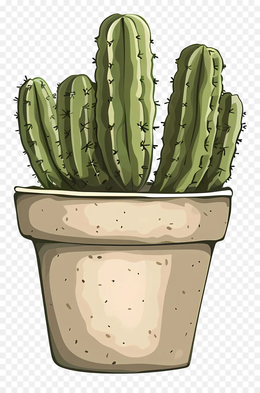 Verde Cactus，Cacti PNG