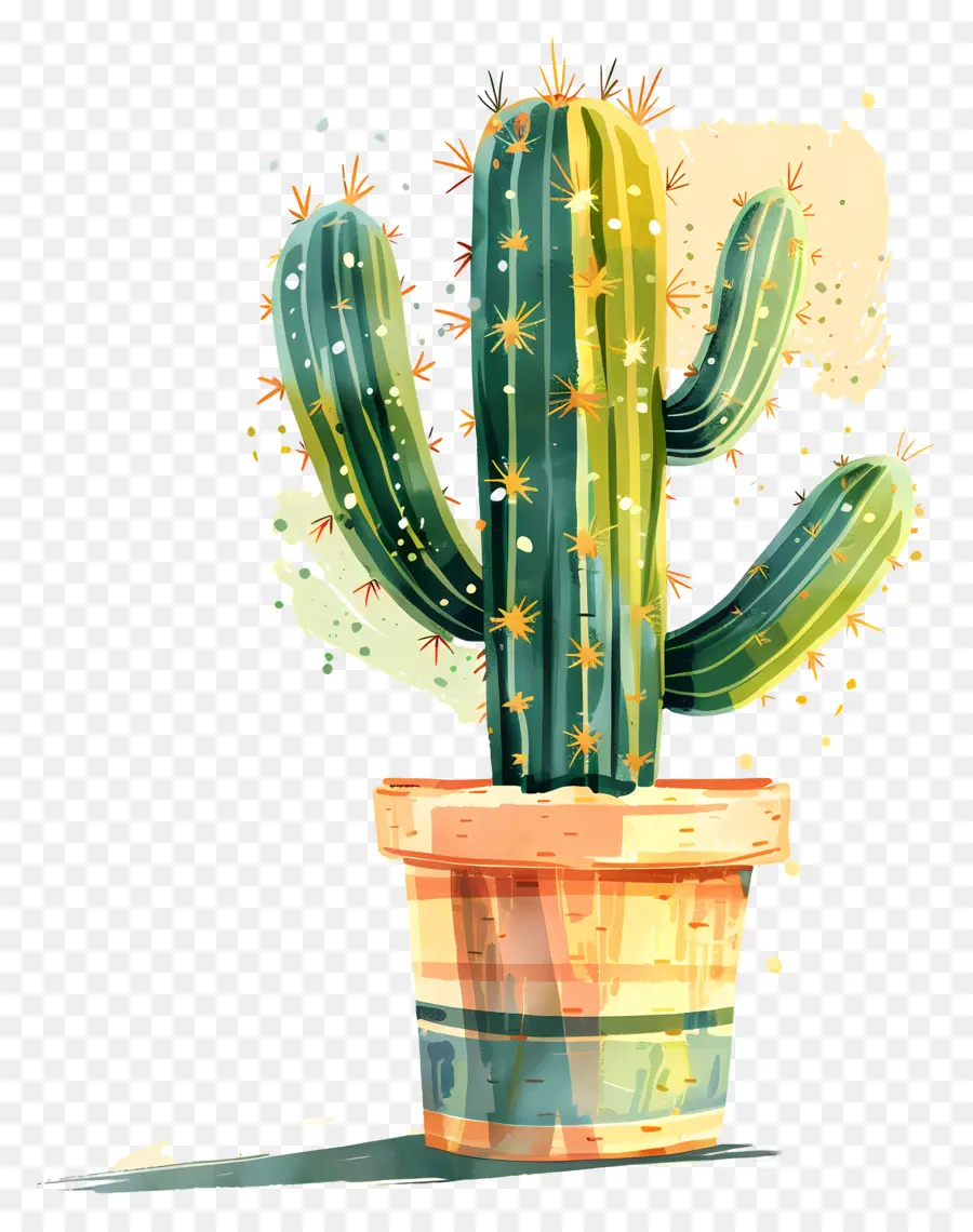 Cactus，Ilustración Acuarela PNG