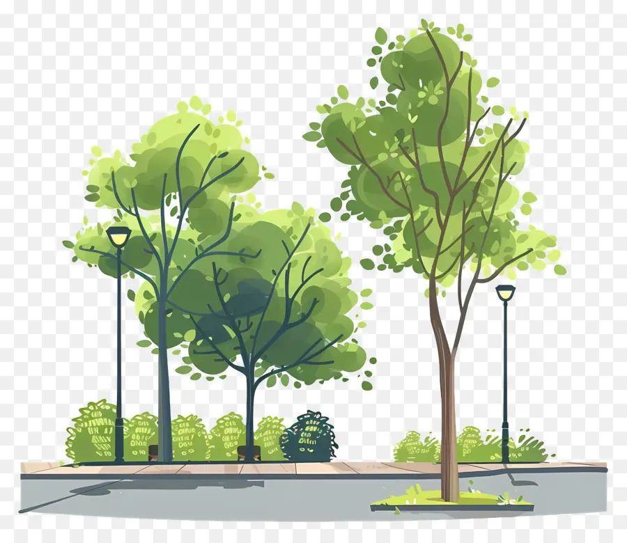 Paisaje Urbano，Urbana De La Calle PNG