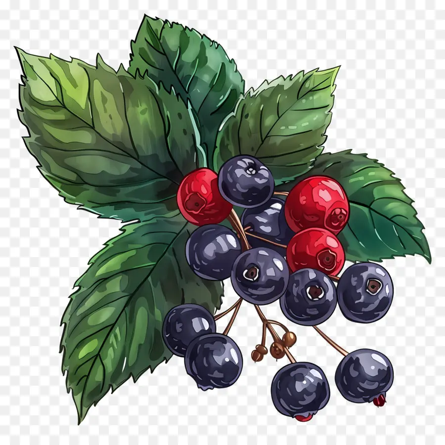 Berry，Bayas Rojas PNG