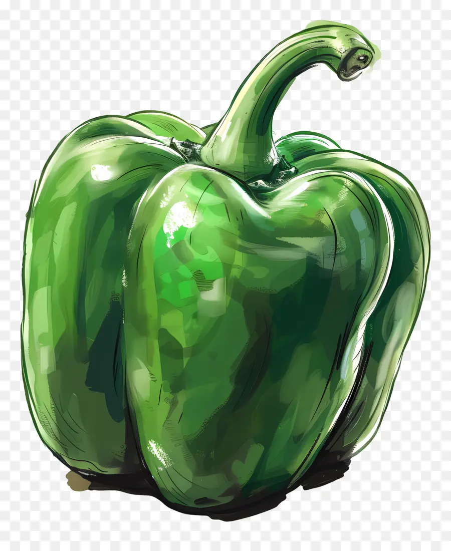 Pimiento Morrón，Pimiento Verde PNG