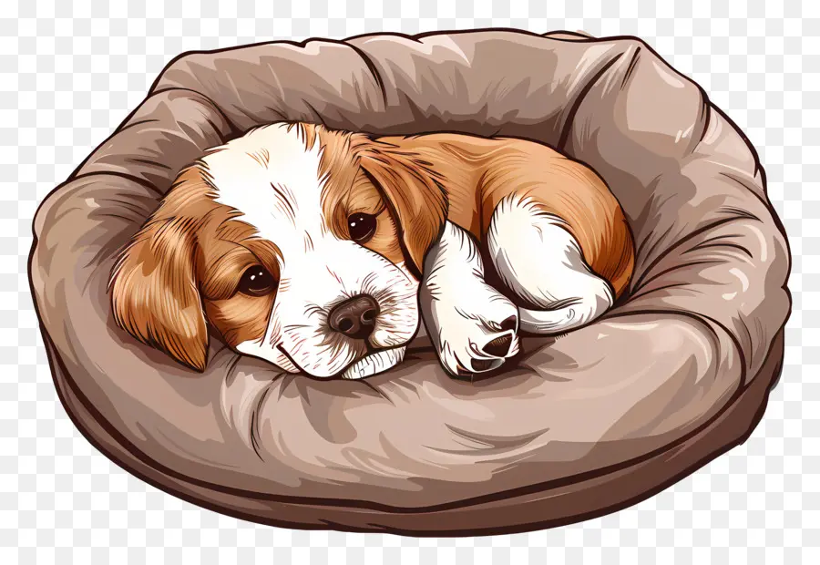 La Cama Del Perro，Lindo Cachorro PNG