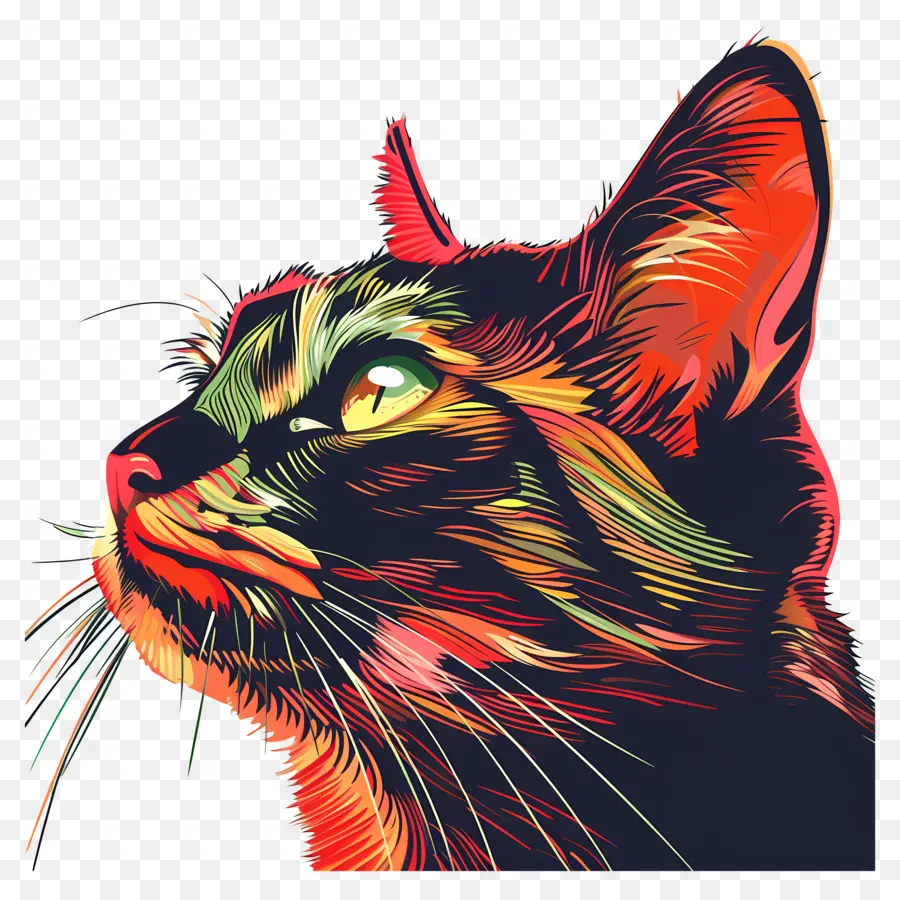 Gato，Ilustración De Gato PNG