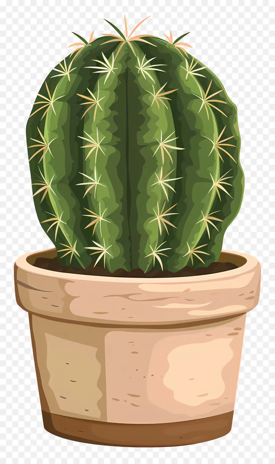 Verde Cactus，Cactus PNG