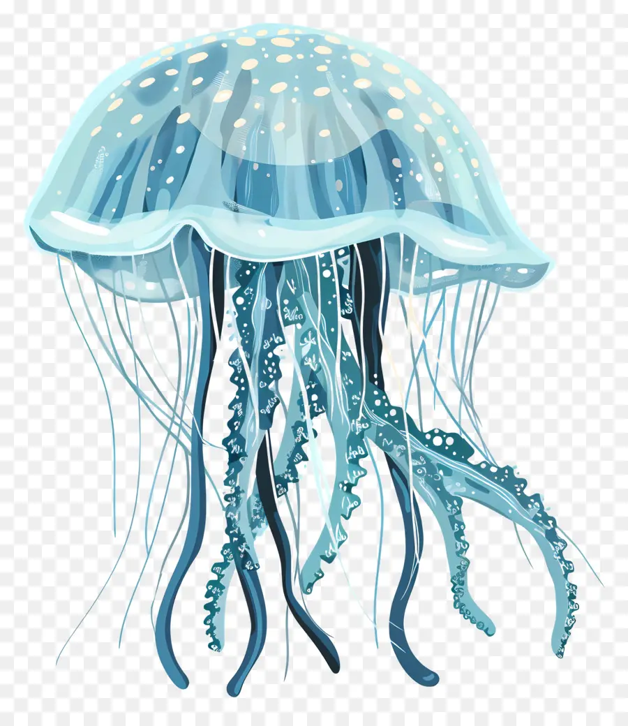 Las Medusas，Azul Medusas PNG