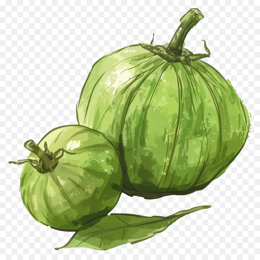 Tomatillo，Calabazas Verdes PNG