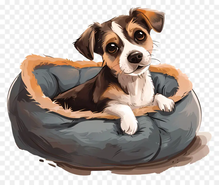 La Cama Del Perro，Cama Para Mascotas PNG