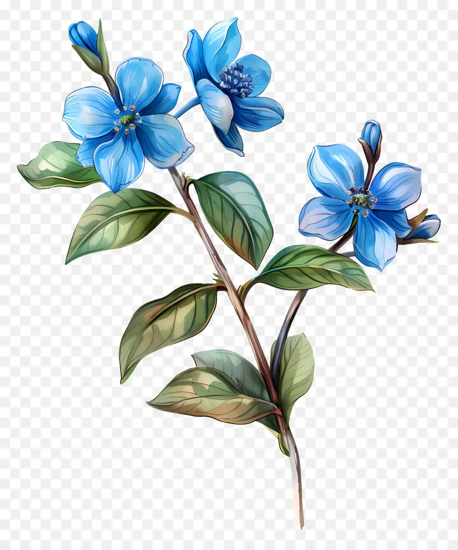 Acuarela De Flores，Flores De Color Azul PNG