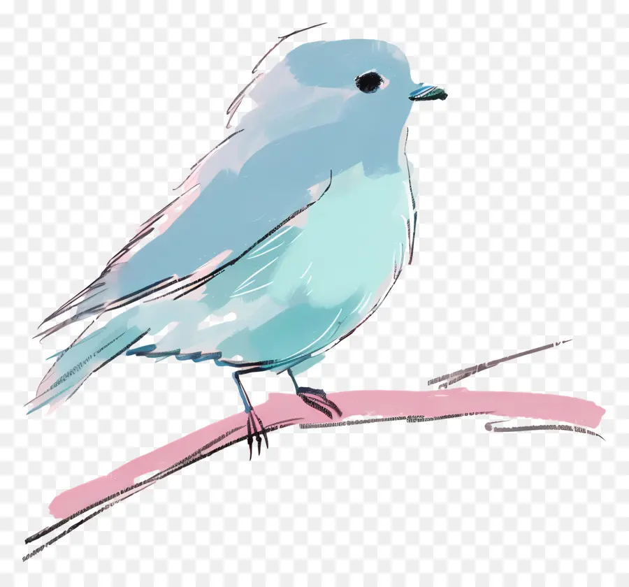 Aves，El Pájaro Azul PNG