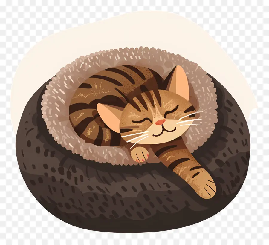 Cama De Gato，Gato Durmiendo PNG