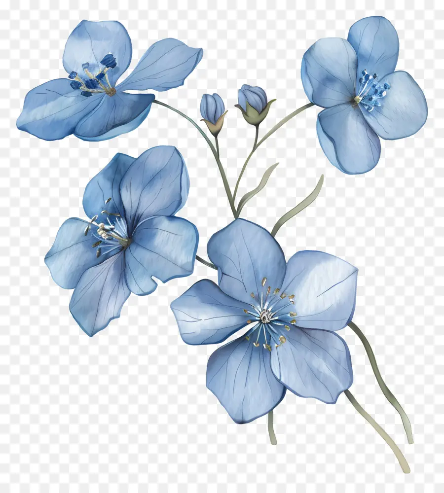 Flores De Acuarela，Flores Azules PNG