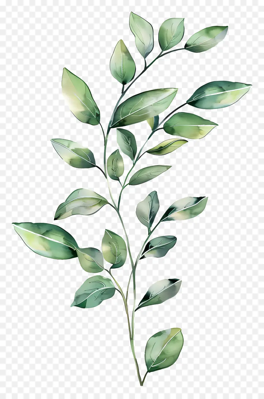 Acuarela Hojas，Rama De árbol PNG