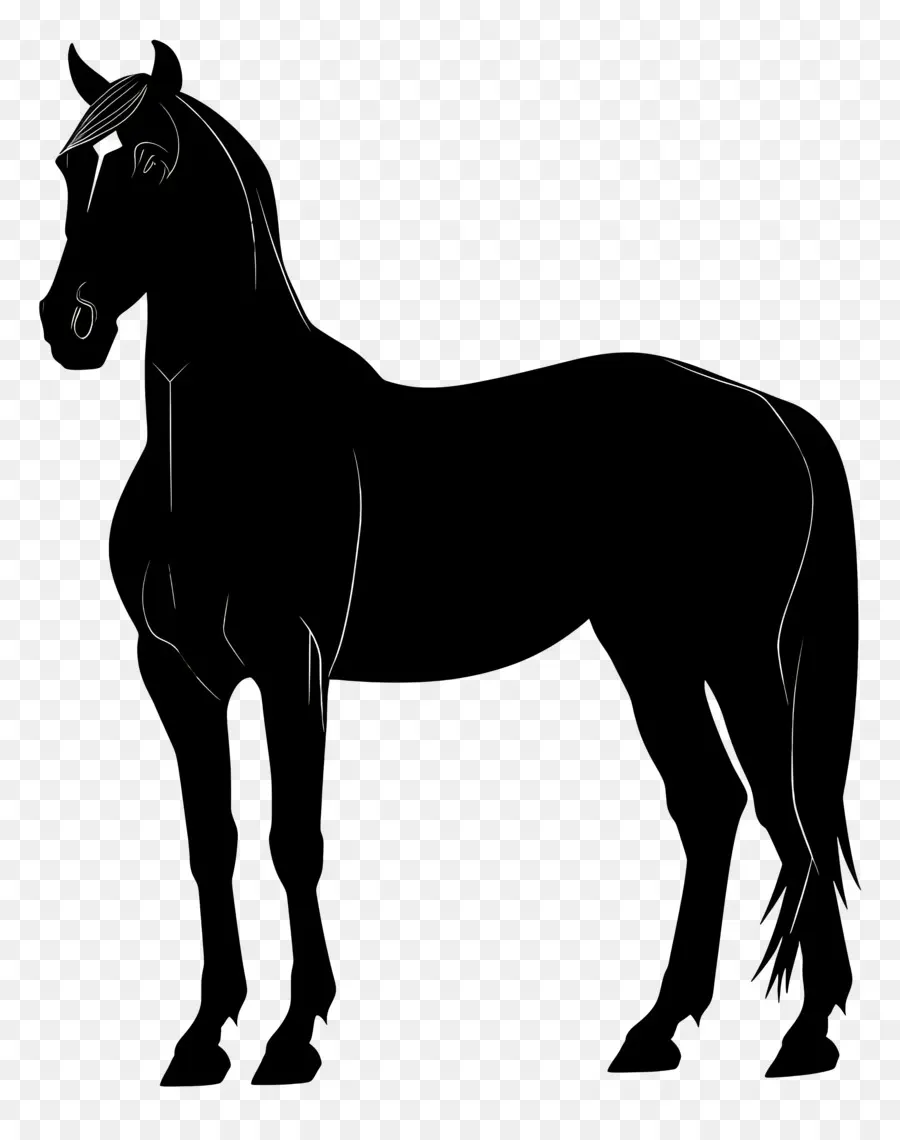 Silueta De Caballo De Pie，Caballo Negro PNG