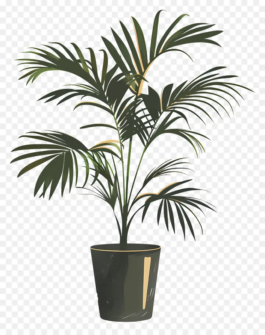 Palmera，Planta En Maceta PNG