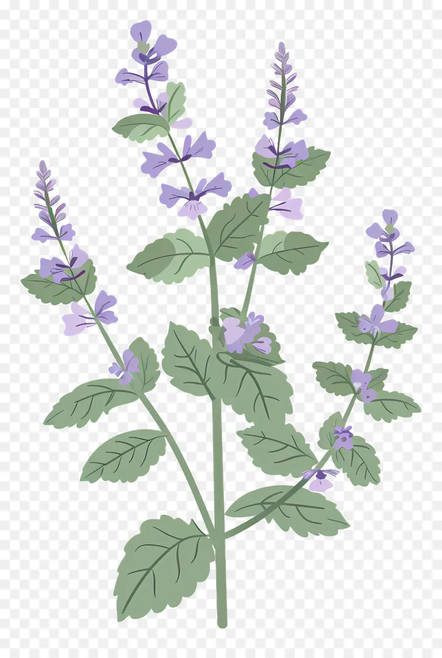 Gatitos，Lavanda PNG