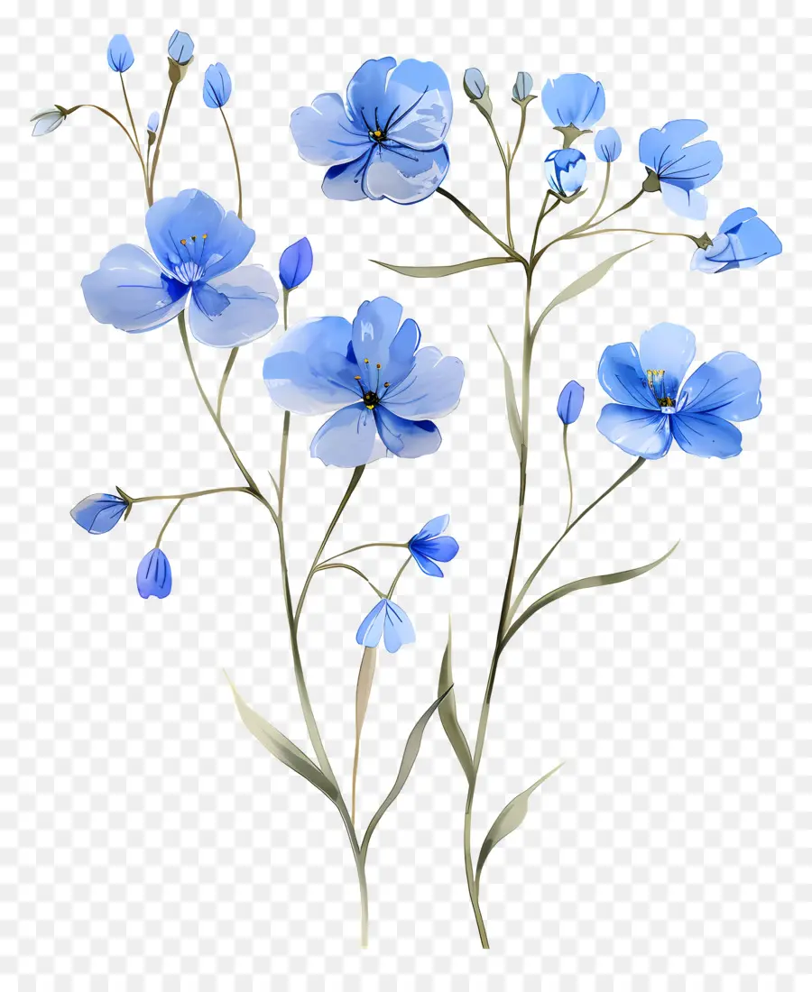 Flores De Acuarela，Flores Azules PNG