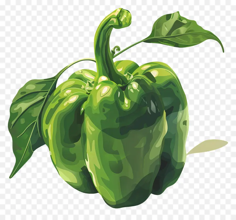 Pimiento Verde，Pimienta PNG