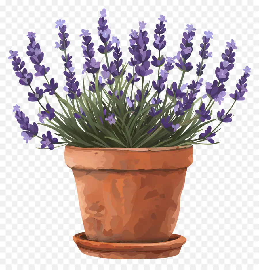 Las Flores De Lavanda，Olla De Cerámica PNG