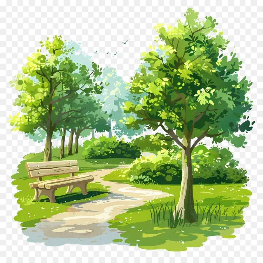 Paisaje Del Parque，árboles Verdes PNG