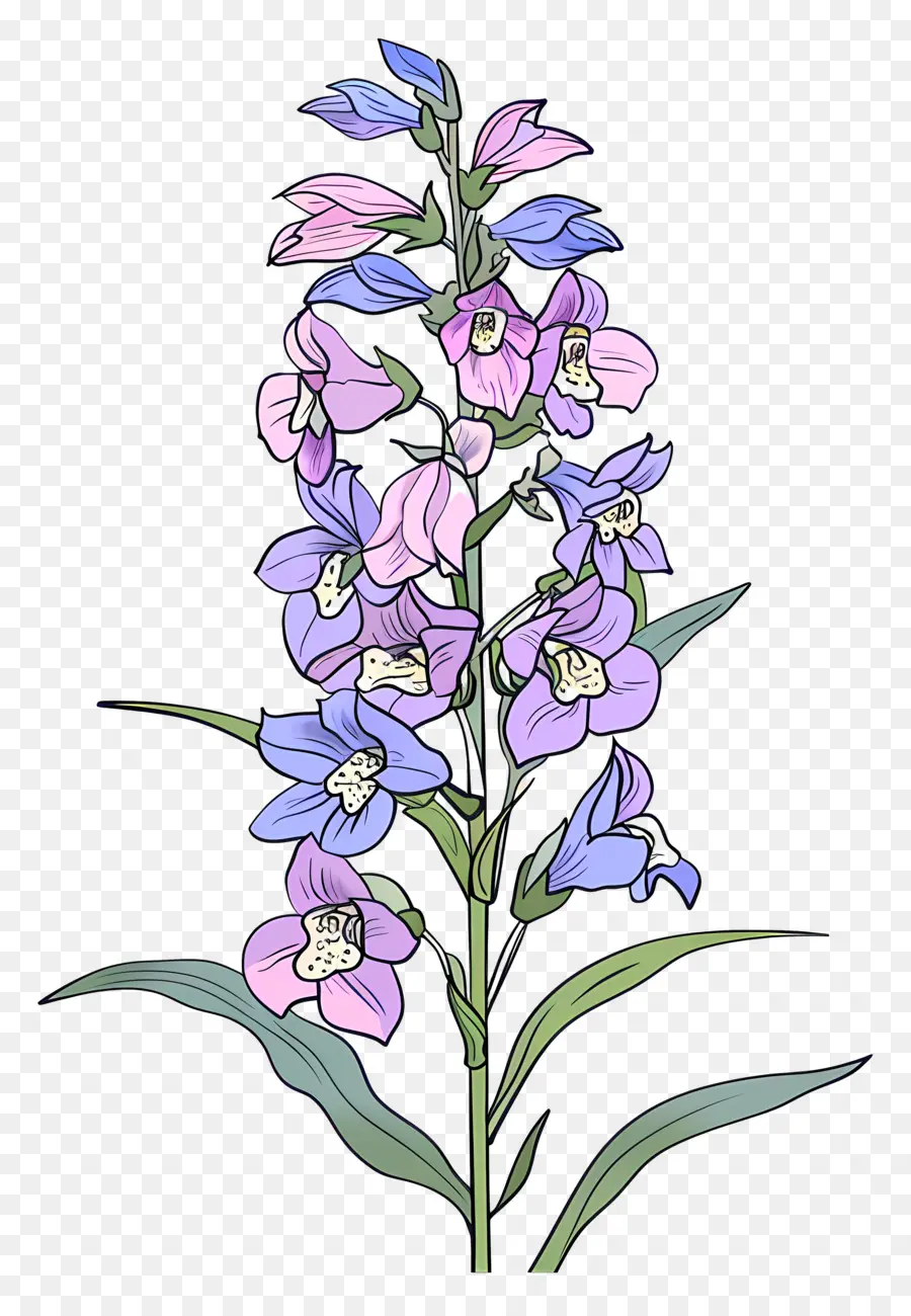 Espuela De Caballero，Flores De Color Púrpura PNG