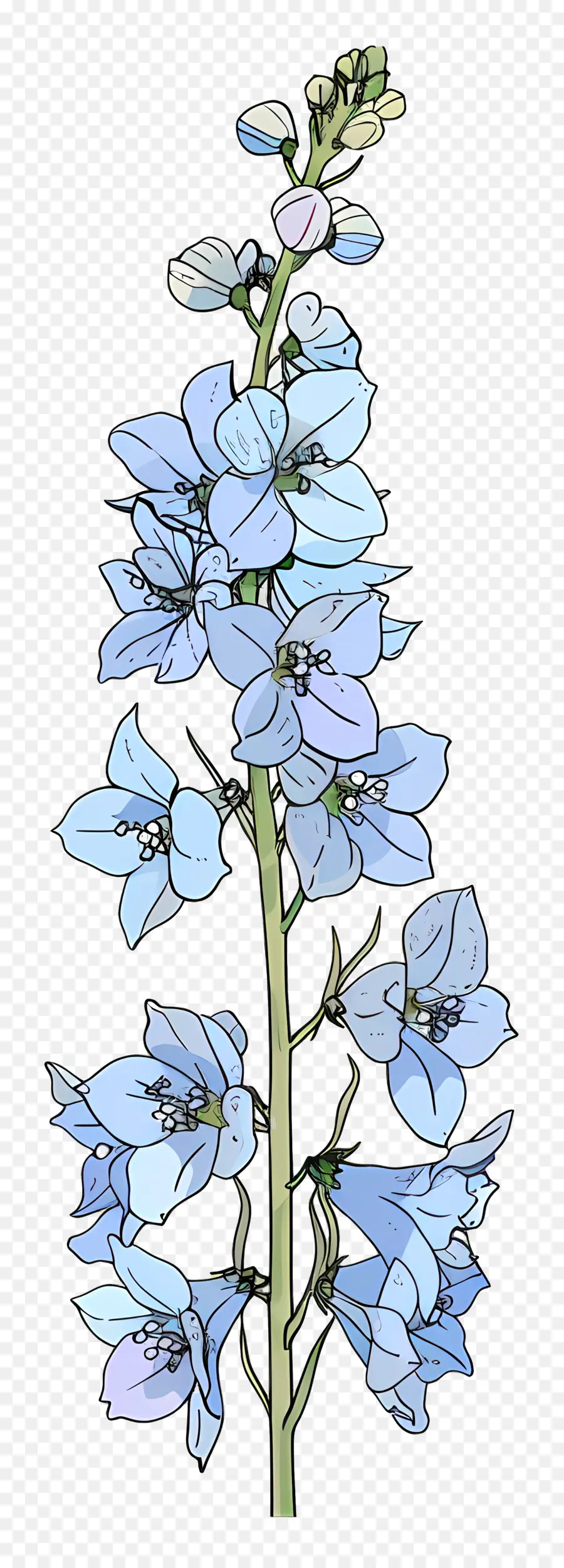 Espuela De Caballero，Flor Azul PNG