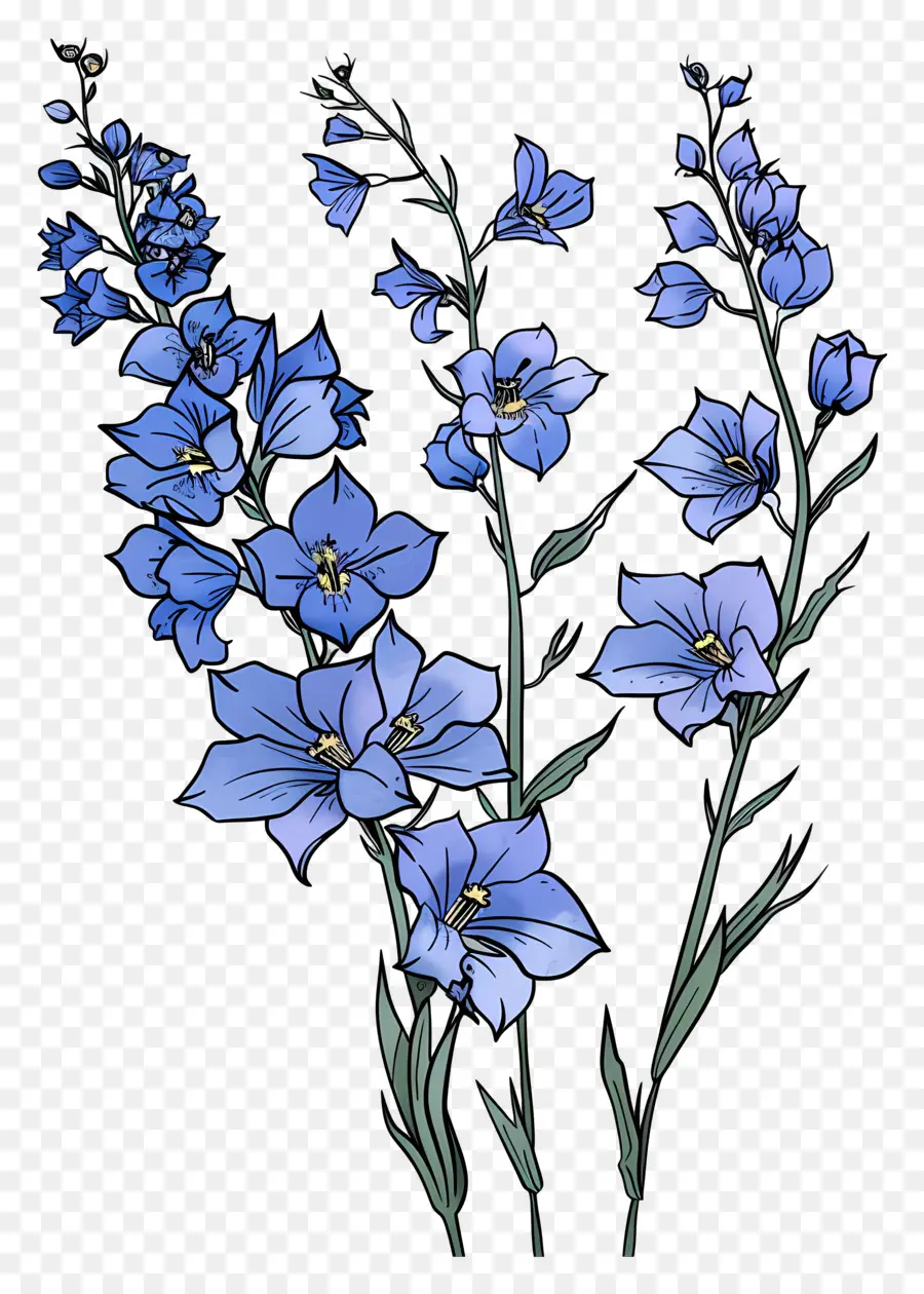 Espuela De Caballero，Flores De Color Azul PNG