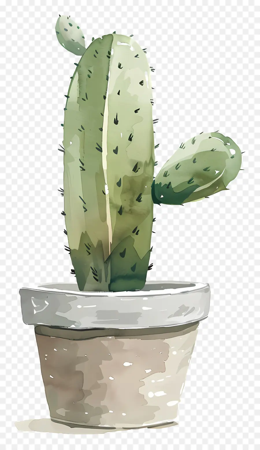 Cactus，Pintura A La Acuarela PNG