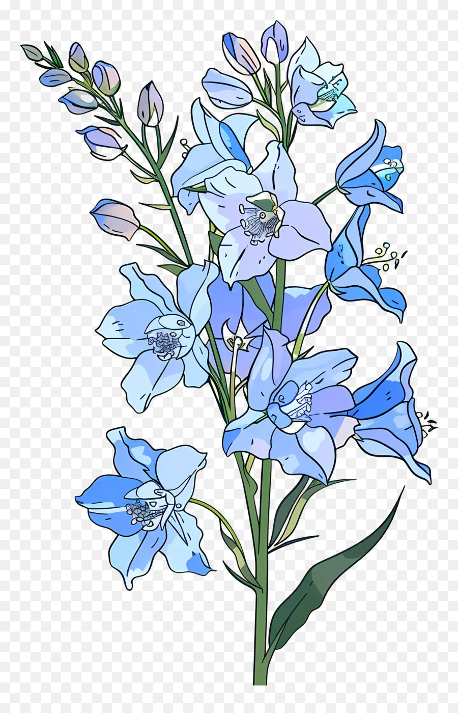 Espuela De Caballero，Bluebell PNG