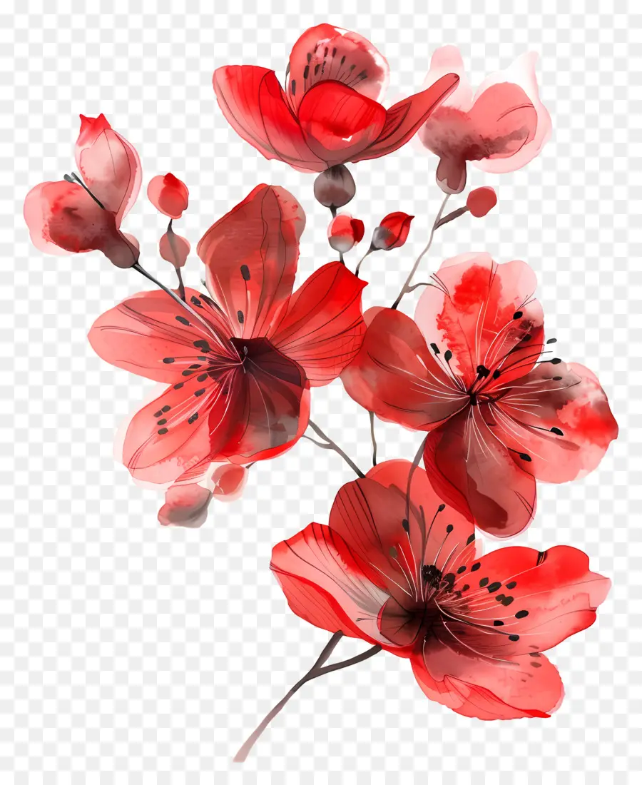 Acuarela De Flores，Las Flores De Color Rojo PNG