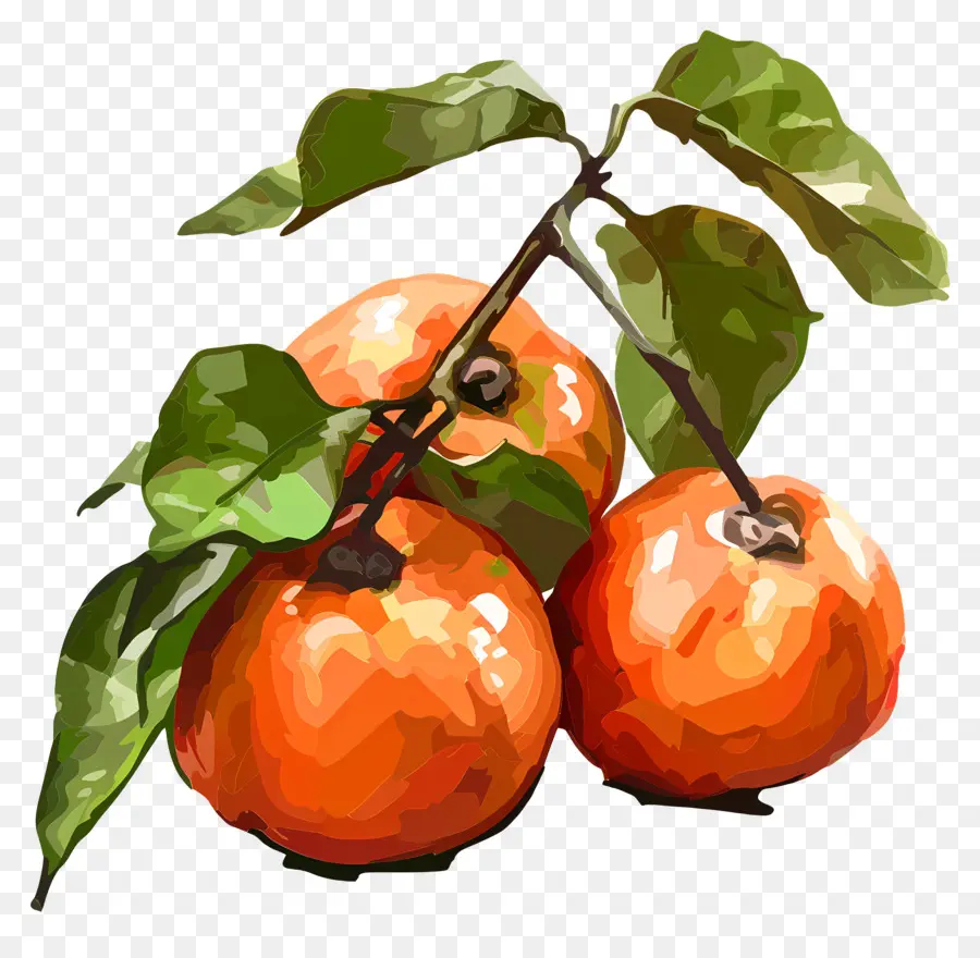 Caqui，La Fruta PNG