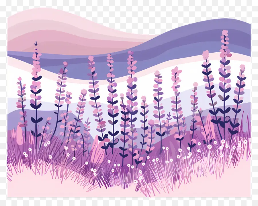 Paisaje De Lavanda，Paisaje PNG