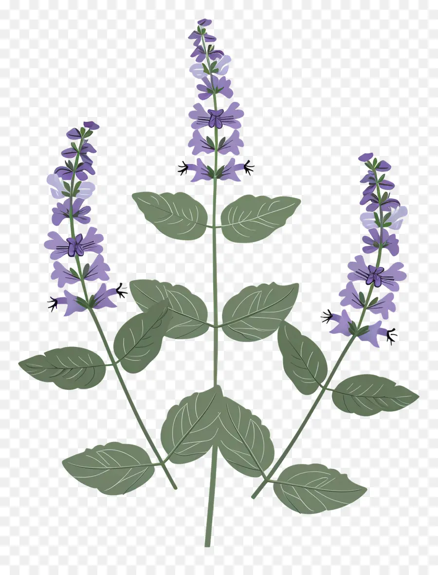 Gatitos，Flores De Color Púrpura PNG