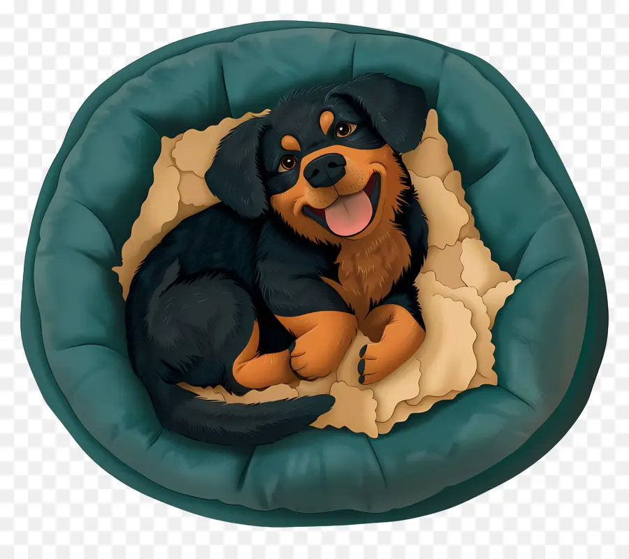 La Cama Del Perro，Lindo Cachorro PNG