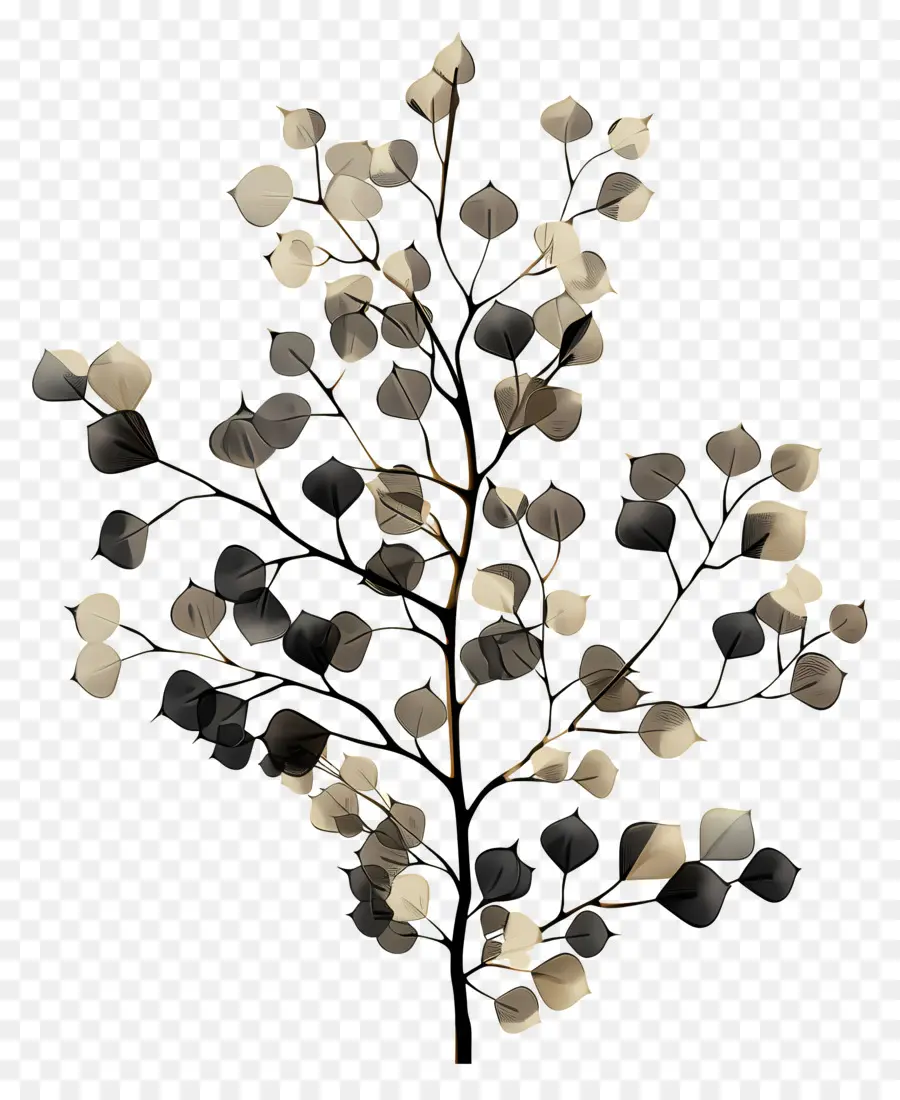 Populus Negro，Hojas Marrones PNG