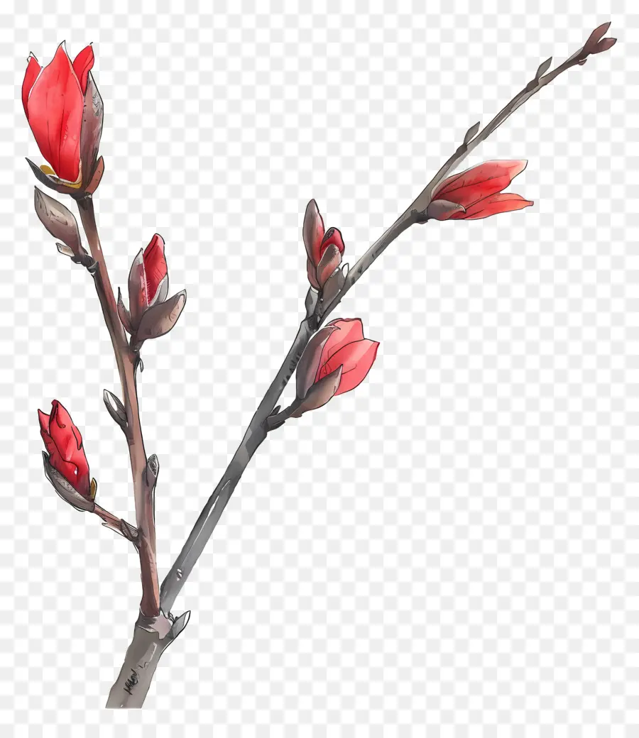 Acuarela De Flores，Las Flores De Color Rojo PNG