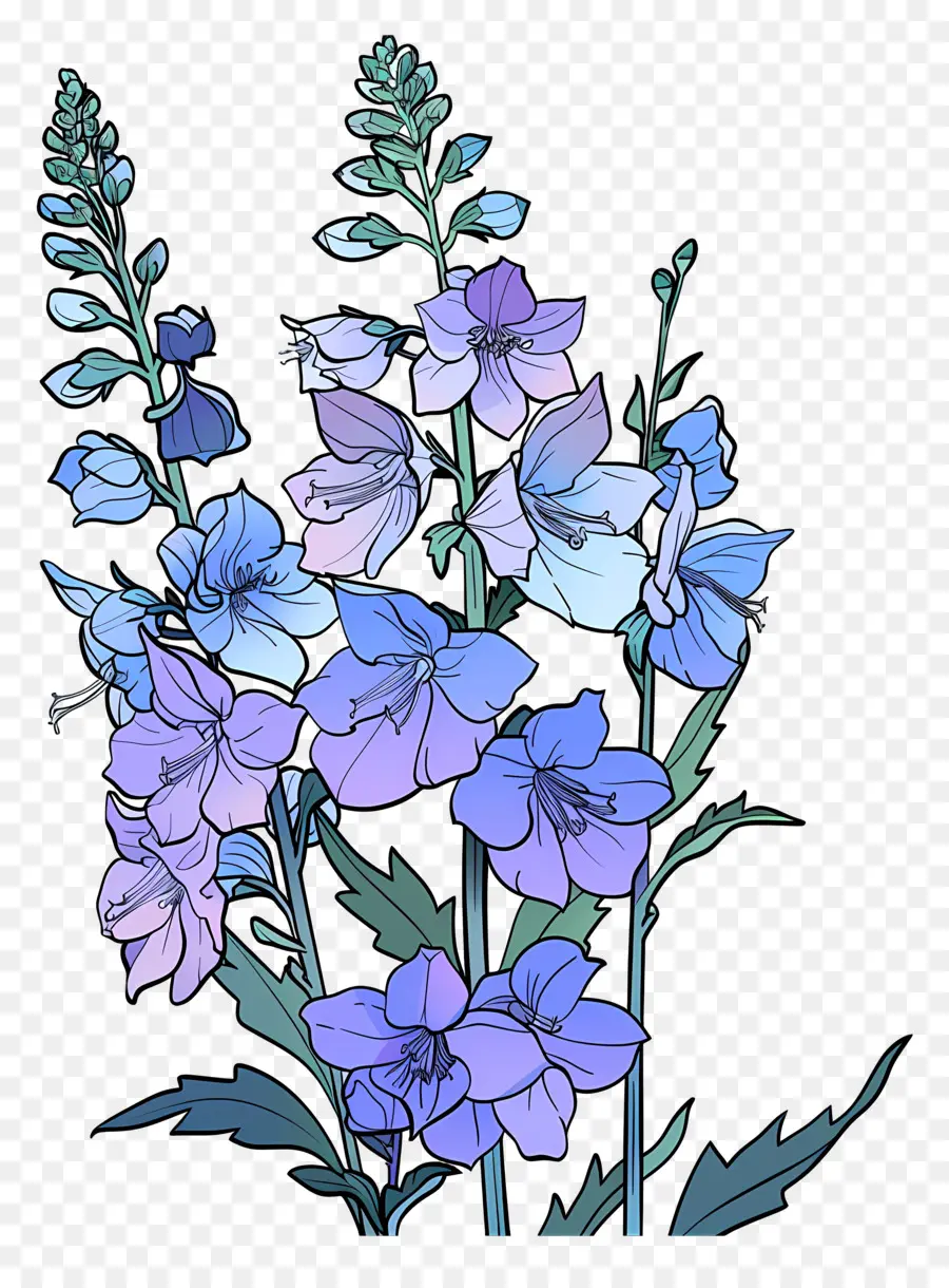 Espuela De Caballero，Flores De Color Azul PNG