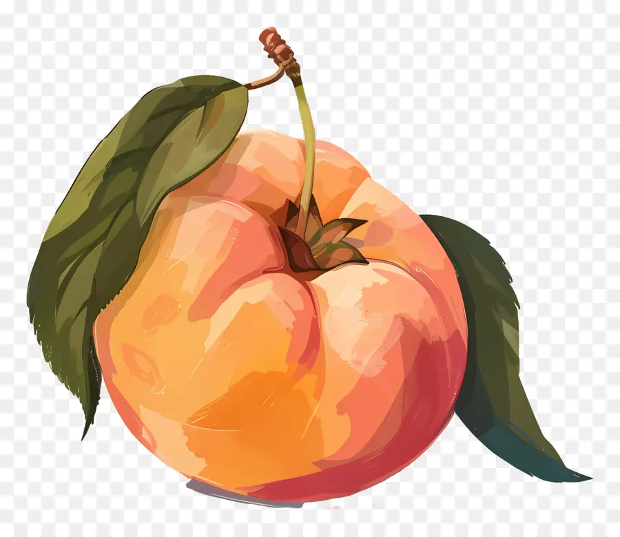 Melocotón，La Fruta PNG