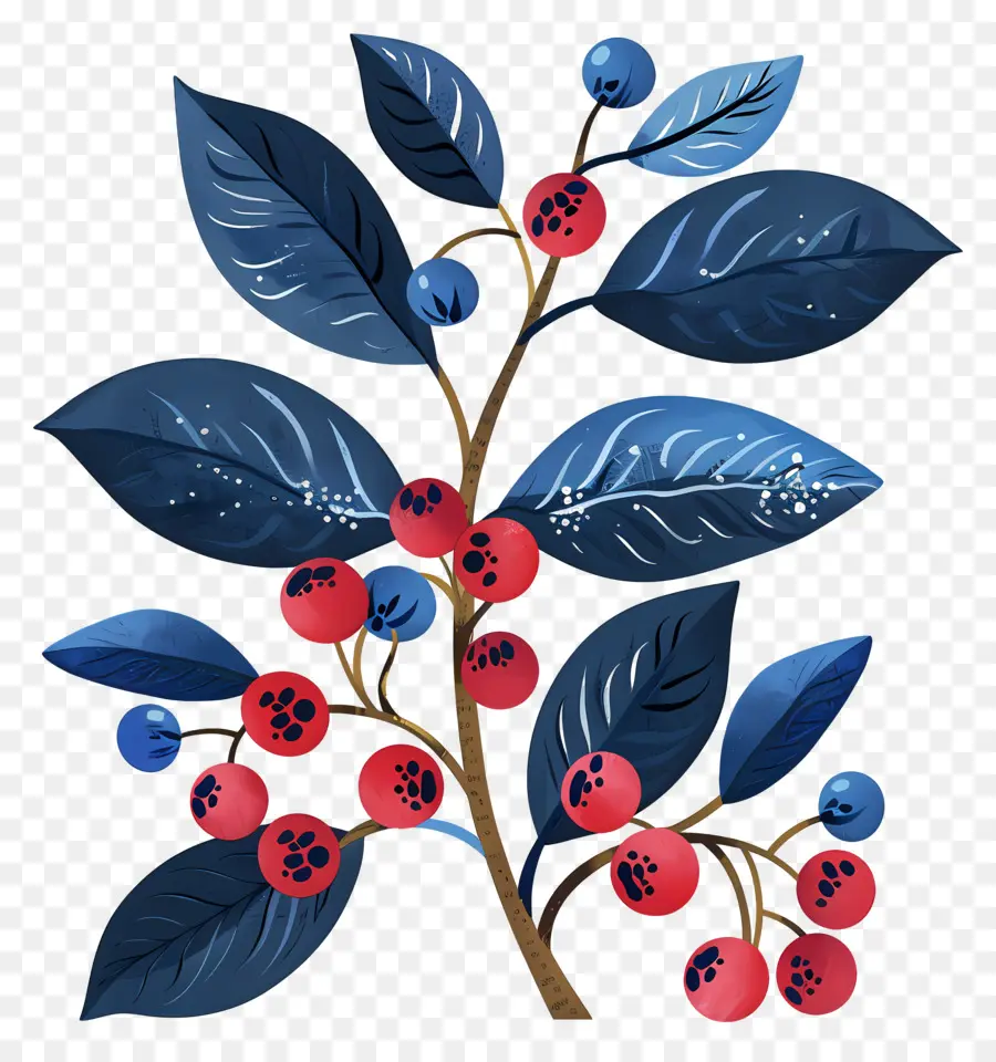 Berry，Planta PNG