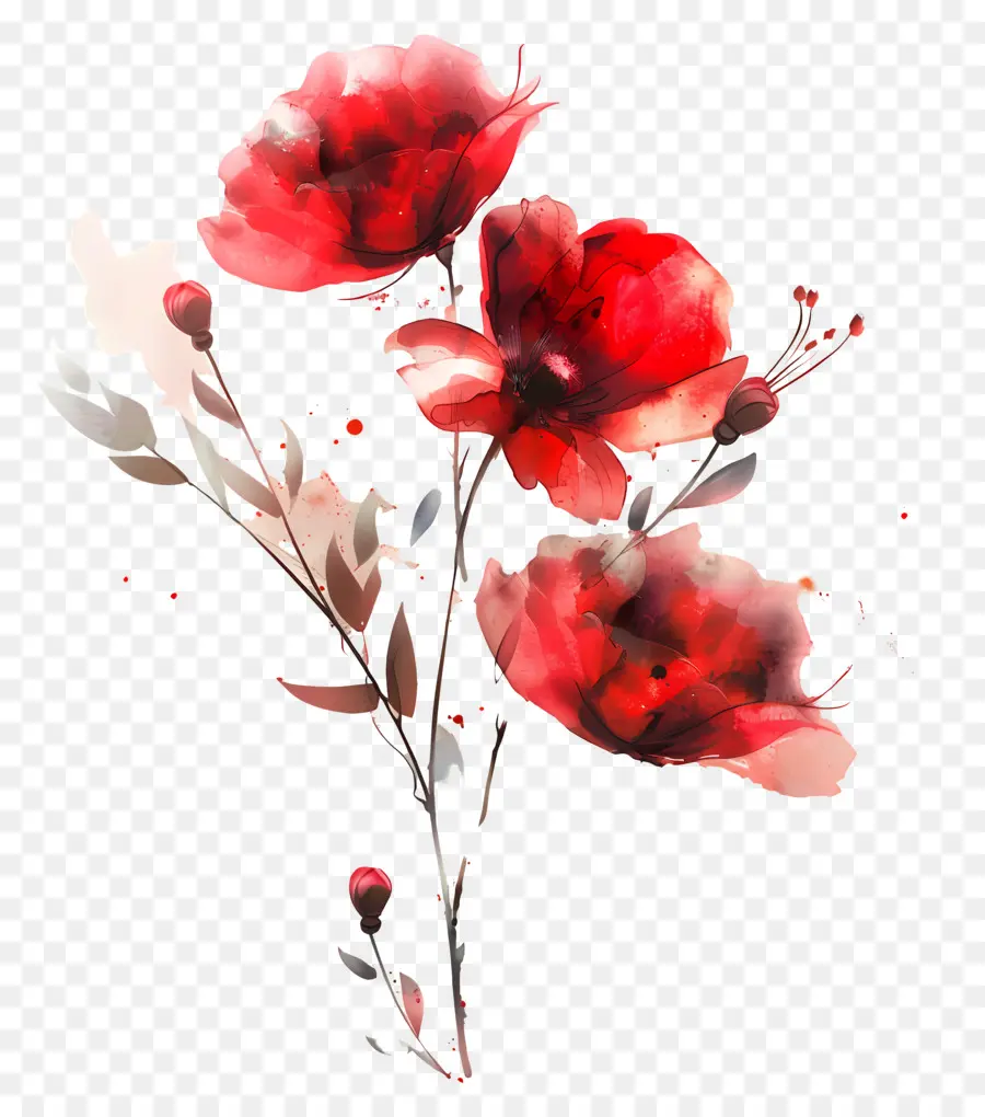 Flores De Acuarela，Flores Rojas PNG