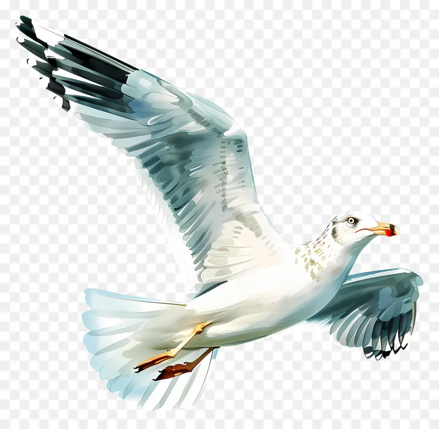 Gaviota，Vuelo PNG