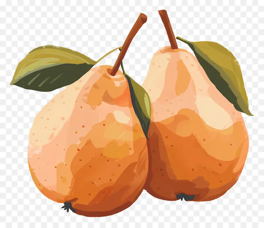 Peras，Ripe PNG