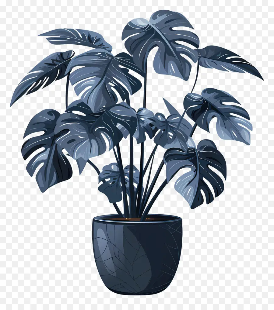 Monstera De La Hoja，Planta En Maceta Azul PNG