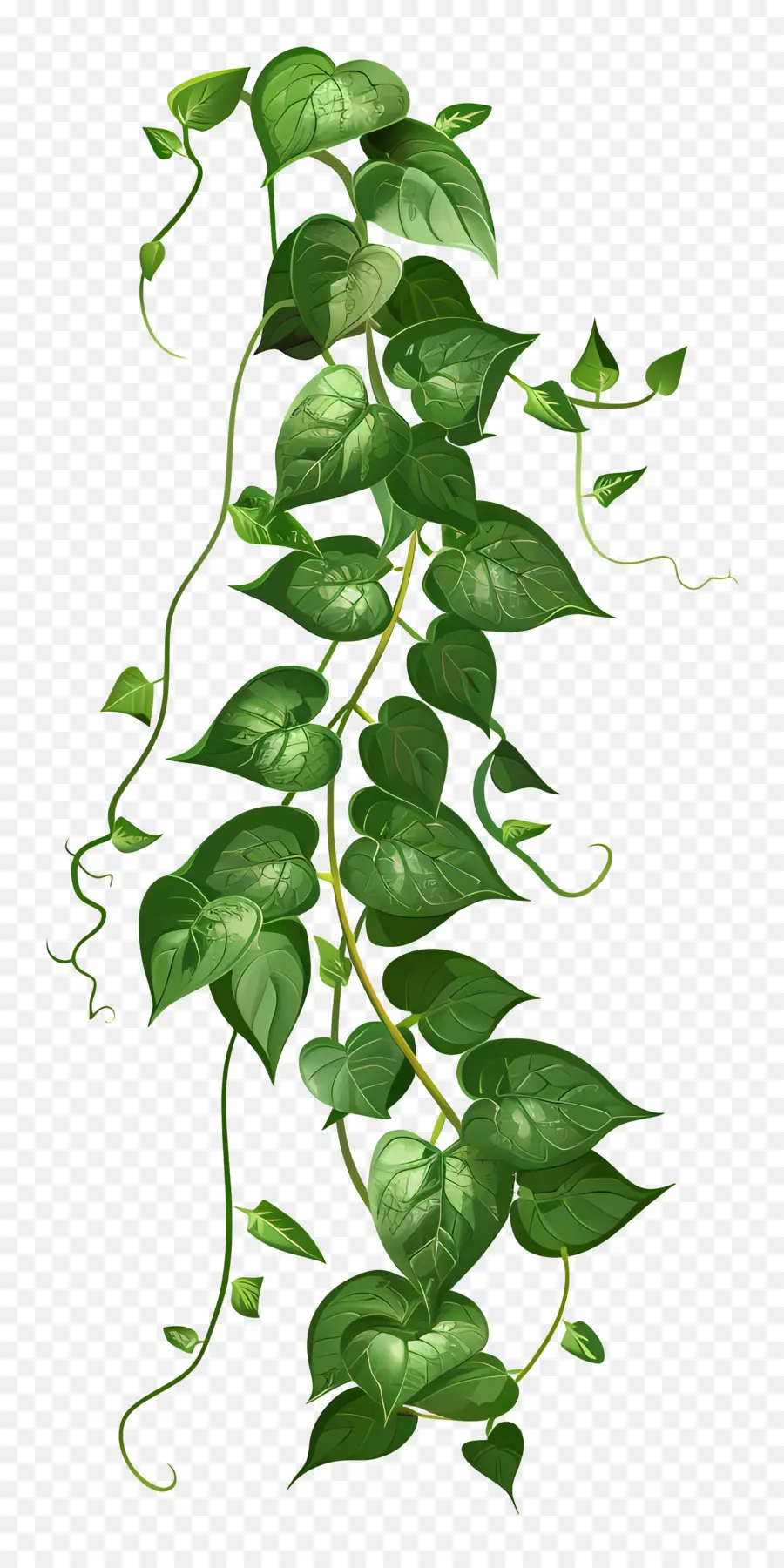 Planta Trepadora，Vines PNG