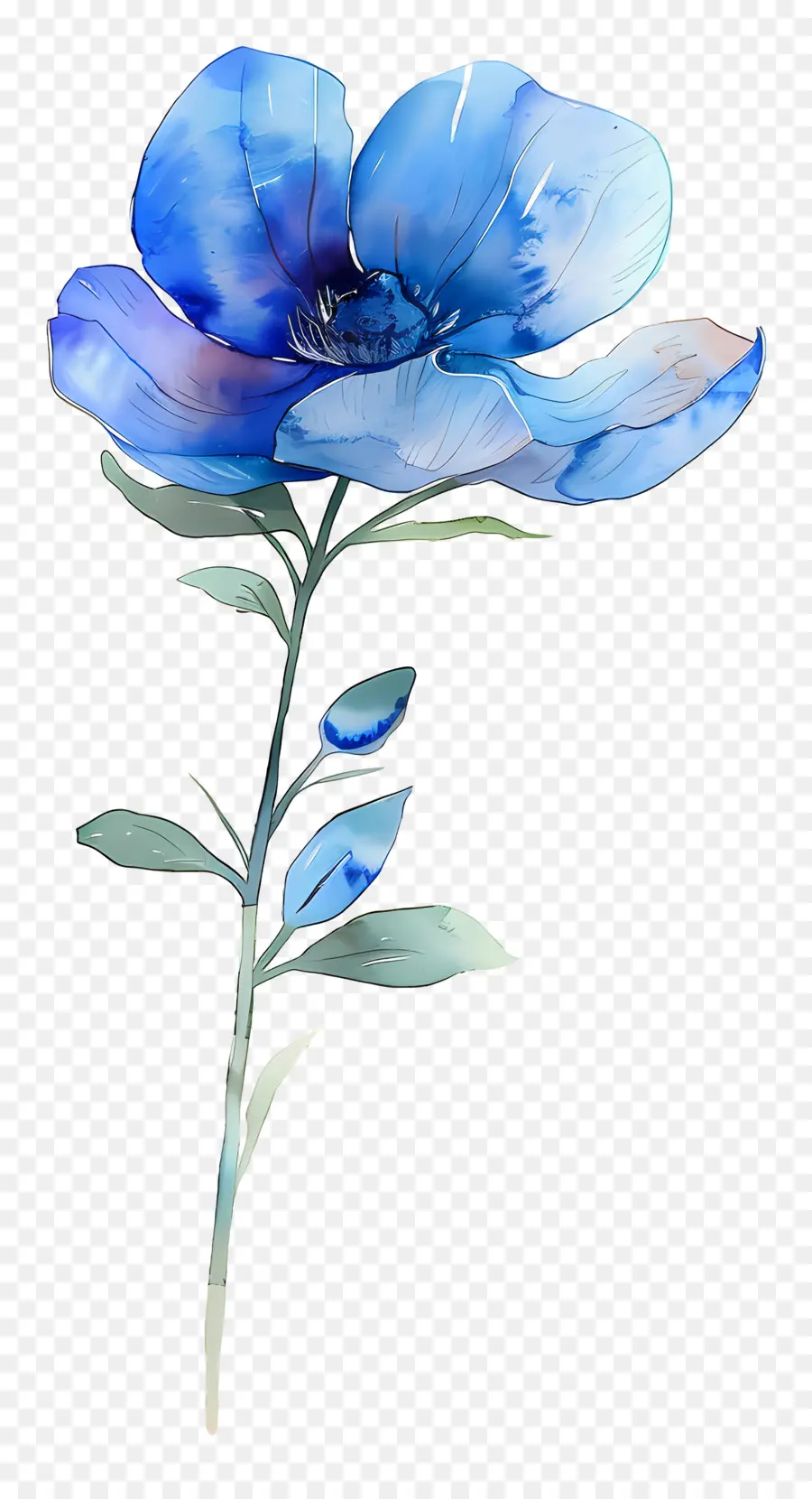 Acuarela De Flores，Flores De Color Azul PNG