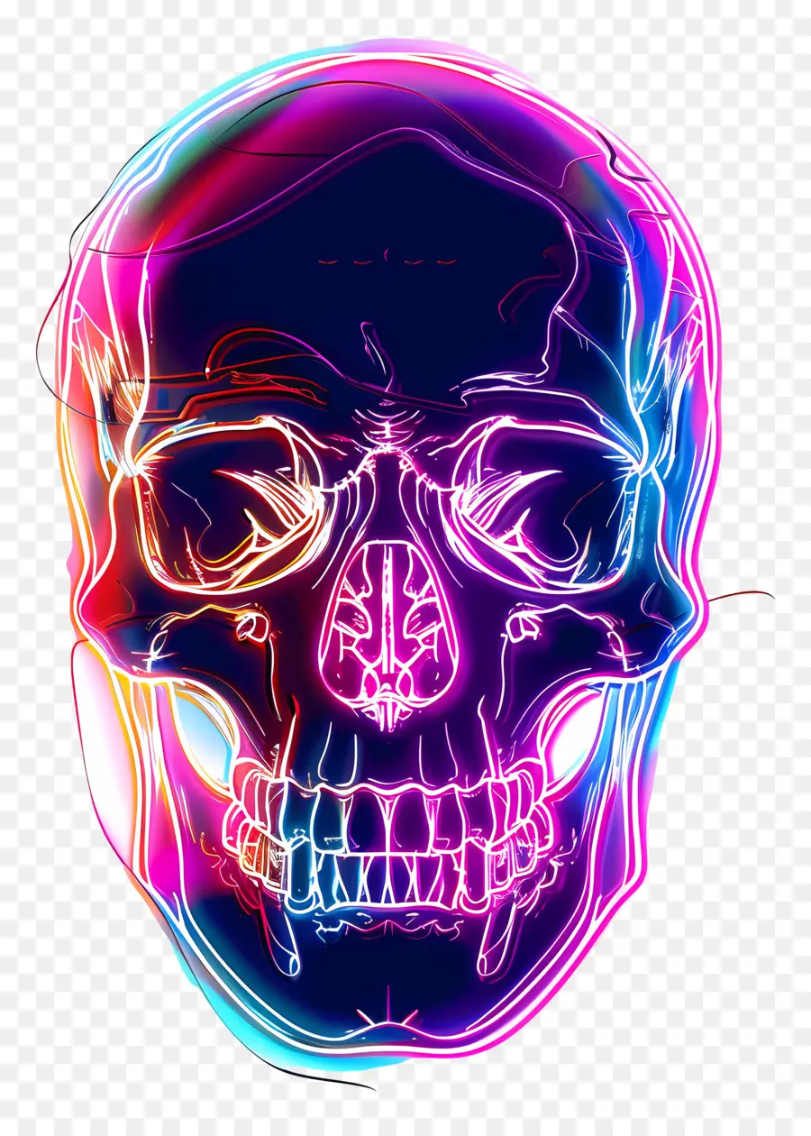 Silueta De Calavera，Calavera De Neón PNG