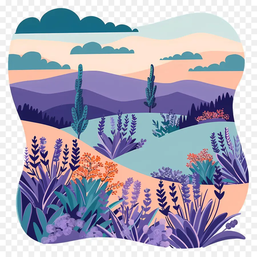 Paisaje De Lavanda，Arbustos De Lavanda PNG