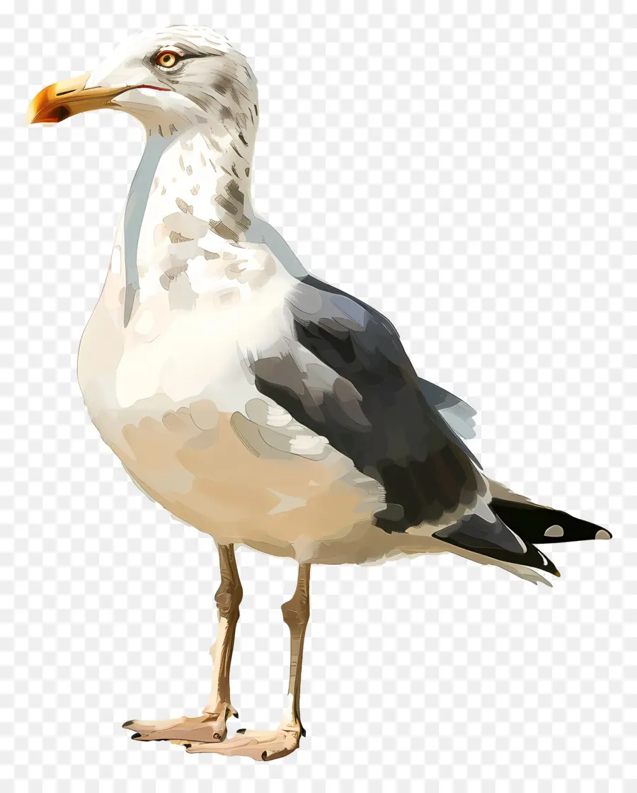 Gaviota，La Historieta PNG