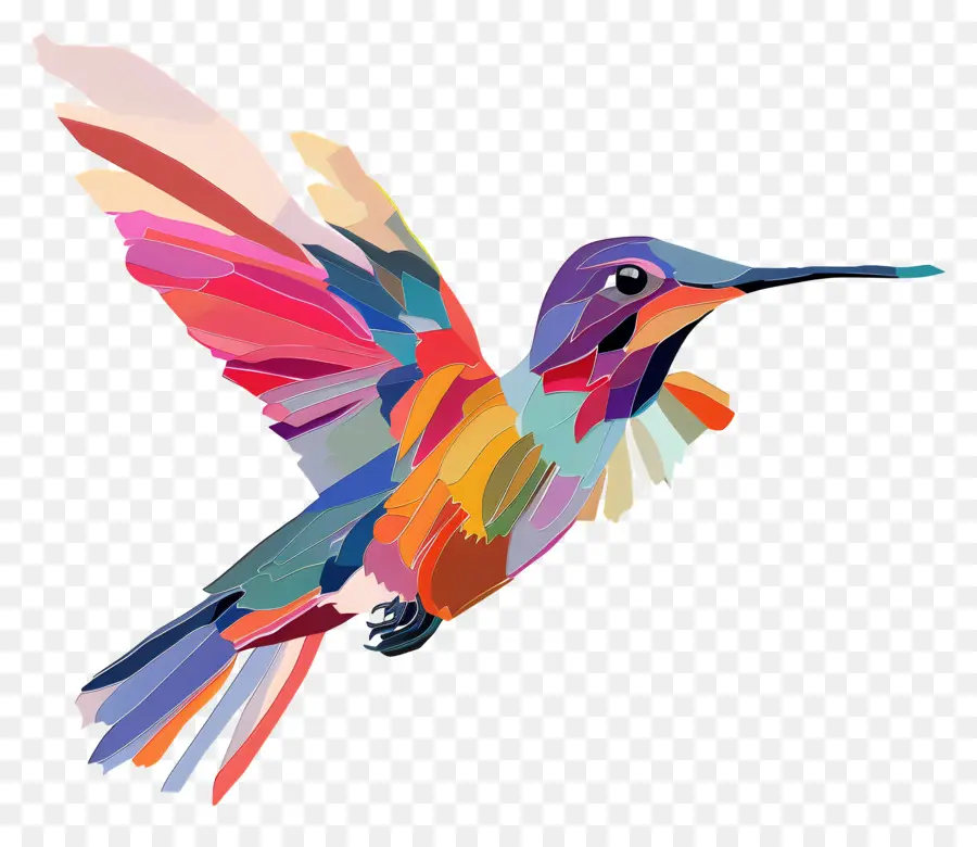 Colibrí，Pájaro De Colores PNG