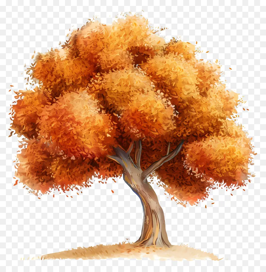 Árbol，árbol De Otoño PNG