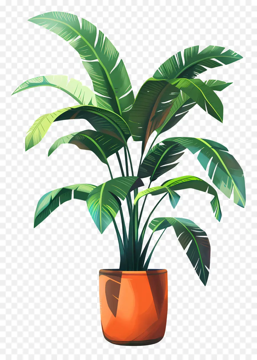 Planta De Interior，Planta PNG